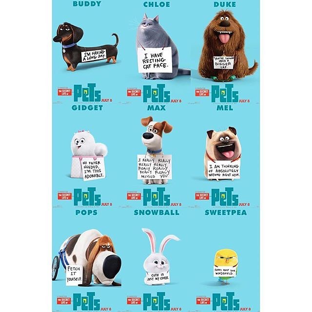The Secret Life of Pets