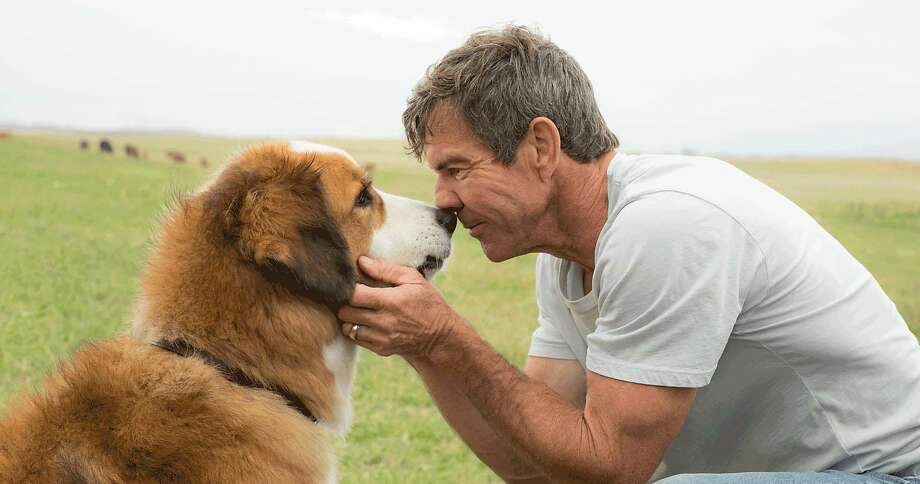 A Dog's Purpose