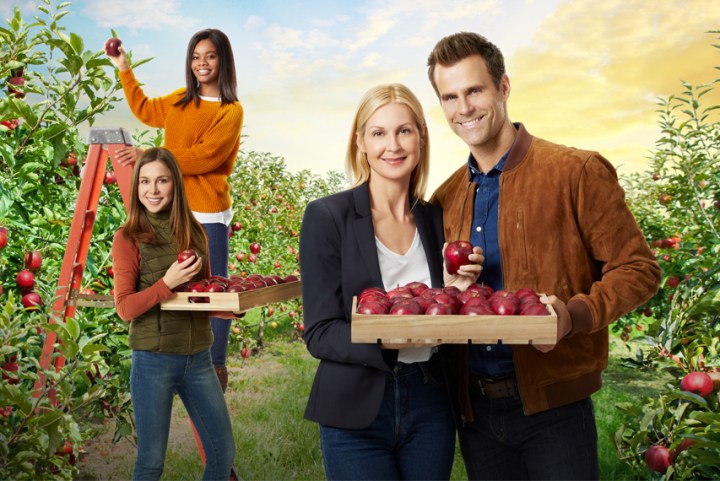 digi18-loveofcourse-landscape-853x570