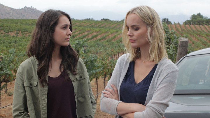 murder-in-the-vineyard-desktop